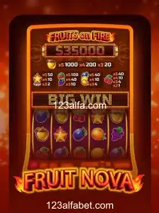 Explorando o Universo de FruitNova: Guia Completo para Jogadores